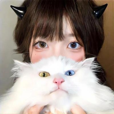 双子杀手